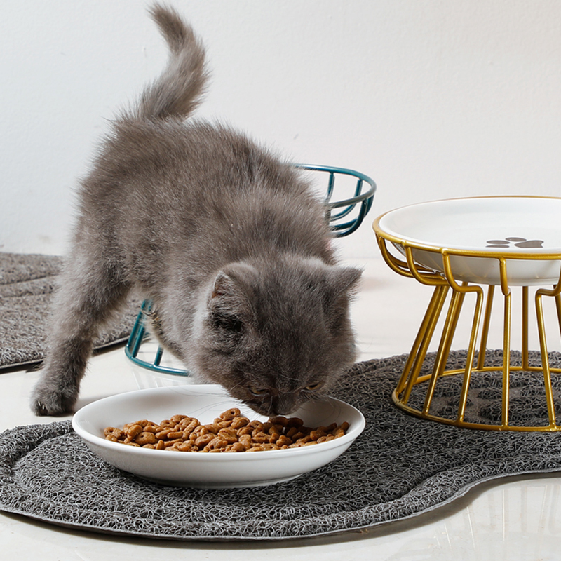 Food Snacks With Iron - 2024 New Pet Ceramic Bowl Iron